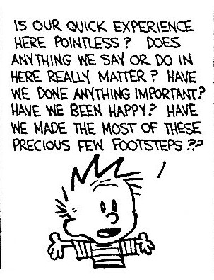 Calvin-gets-existential.crop
